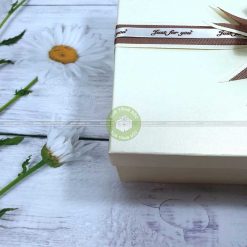 Hộp quà tặng đẹp HQ03 - Kích thước 30x20x10