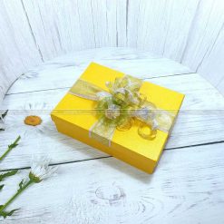 Hộp quà tặng đẹp HQ05 - Kích thước 23x17x7