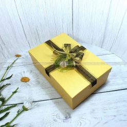 Hộp đựng quà cỡ lớn HQ11 – Kích thước 30x20x10cm