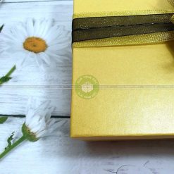 Hộp đựng quà cỡ lớn HQ11 – Kích thước 30x20x10cm