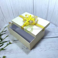 Hộp đựng quà tặng loại lớn HQ14 – Kích thước 30x20x10