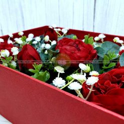 Hộp quà hoa hồng, hộp quà tặng valentine HQ17 – Kích thước 23x17x7cm