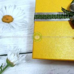 Hộp quà sinh nhật độc đáo HQ12 – Kích thước 23x17x7