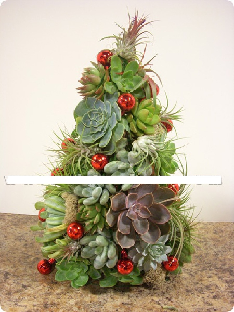 Các món quà giáng sinh độc đáo và tuyệt vời dành cho người thân