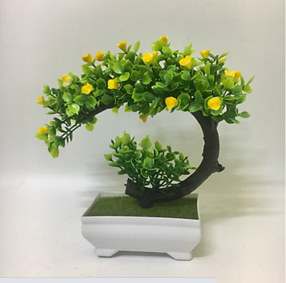 TOP 5 món quà tặng cho người già ý nghĩa và thiết thực nhất