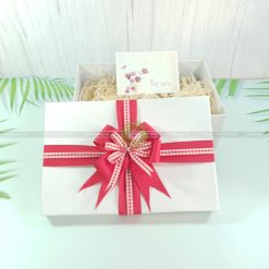 Hộp đựng quà sinh nhật size to HQ47 – KT 30x20x10