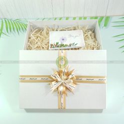 Hộp quà sinh nhật đẹp size to HQ03 – KT 30x20x10