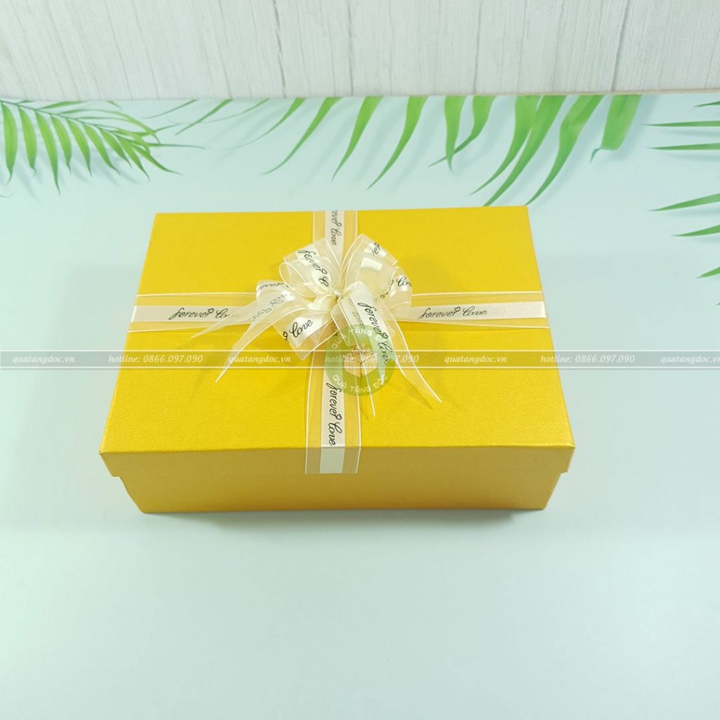 Hộp quà tặng đẹp site HQ44 – 23x17x7cm