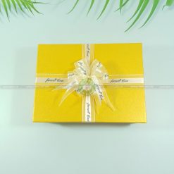 Hộp quà tặng đẹp site HQ44 – 23x17x7cm