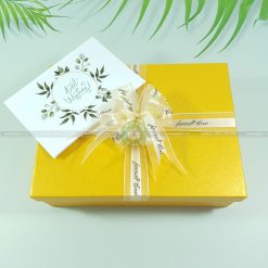 Hộp quà tặng đẹp site HQ44 – 23x17x7cm