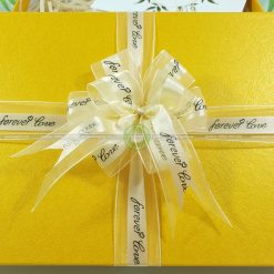 Hộp quà tặng đẹp site HQ44 – 23x17x7cm