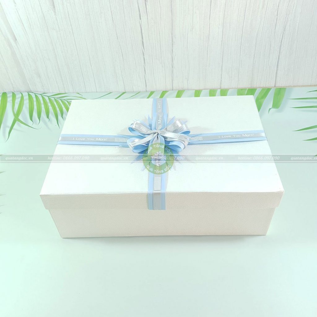 Hộp quà to HQ46 – KT 30x20x10