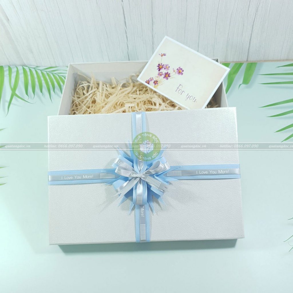 Hộp quà to HQ46 – KT 30x20x10