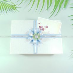 Hộp quà to HQ46 – KT 30x20x10