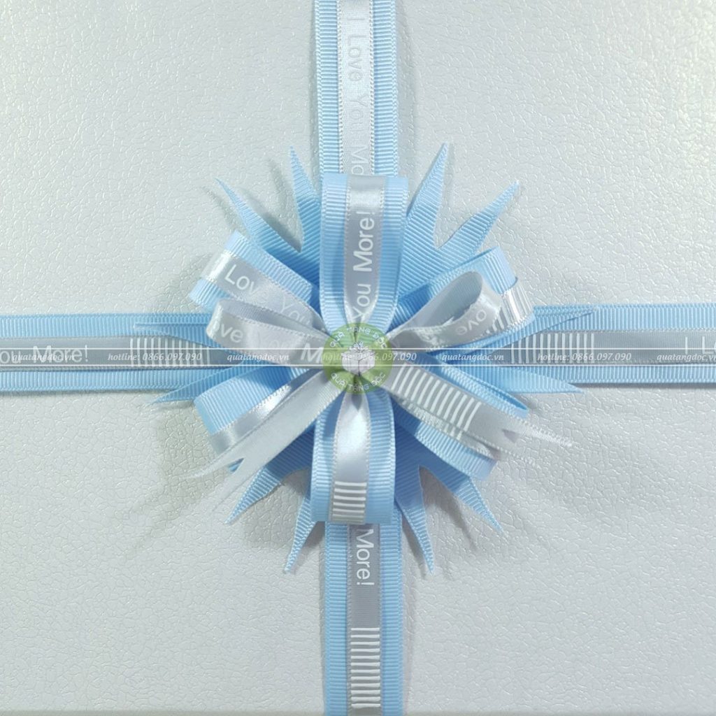 Hộp quà to HQ46 – KT 30x20x10