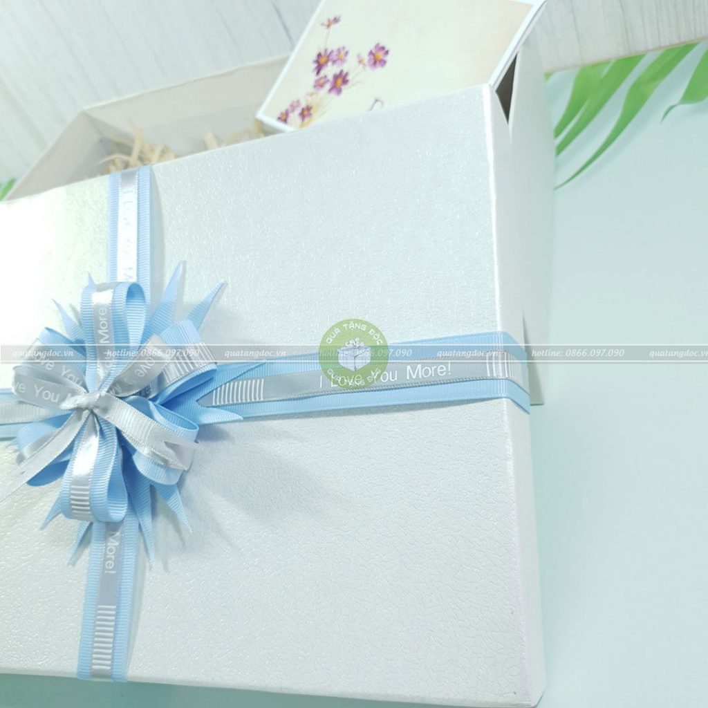 Hộp quà to HQ46 – KT 30x20x10