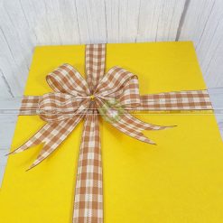 Hộp đựng quà 30x20x10cm - HQ41