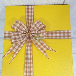 Hộp đựng quà 30x20x10cm - HQ41