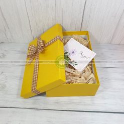 Hộp quà tặng HQ40-30x20x10cm