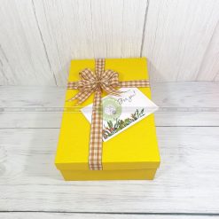 Hộp đựng quà 30x20x10cm - HQ41