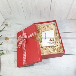 Hộp quà tặng HQ40-30x20x10cm