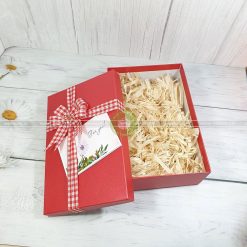 Hộp quà tặng HQ40-30x20x10cm