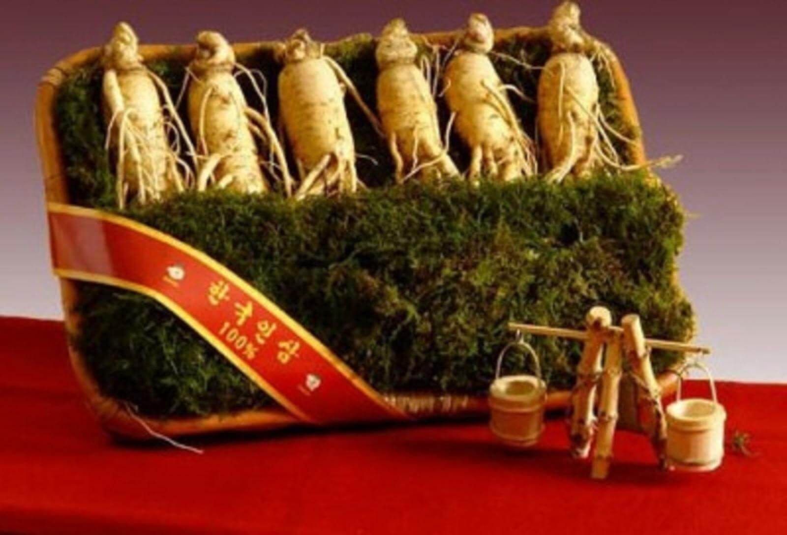 Quà tặng ra mắt bố mẹ người yêu lần đầu ghi điểm tuyệt đối